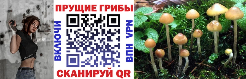 Галлюциногенные грибы мицелий Малоярославец
